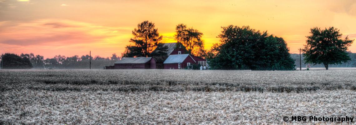 Economic Development Banner